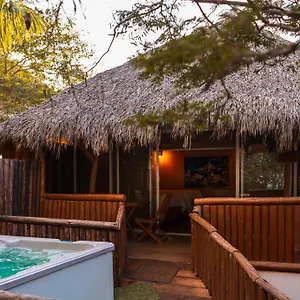  Campsite Palm Valley Mexico