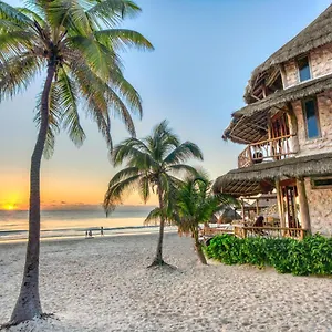 alaya-tulum.allrivieramayahotels.com/